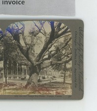 Old oak tampa for sale  Bolton