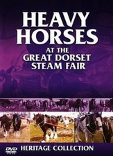 Heavy horses great for sale  UK