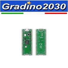 Raspberry pico rp2040 usato  Grugliasco