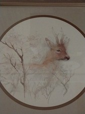 Vintage beauty thicket for sale  Corryton