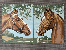 Paint number horse for sale  Oconomowoc