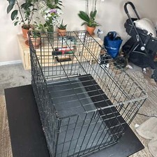 Metal dog crate for sale  Philadelphia