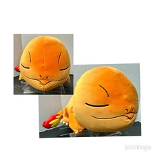 Pokémon sleeping charmander for sale  Acworth