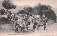 Mont dore caravane d'occasion  France