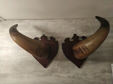 Imposantes cornes buffle d'occasion Imposantes cornes buffle d'occasion  Fismes