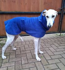 Greyhound lurcher whippet for sale  COLEFORD