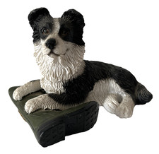 Border collie dog for sale  CLECKHEATON