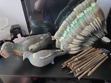 Used plastic pigeon for sale  PRESTON