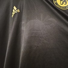 Chelsea training shirt for sale  WADHURST