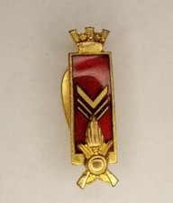 1048 distintivo grado usato  Firenze