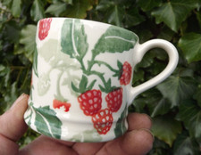 Emma bridgewater sponge for sale  BELFAST