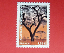 2025 acacia faux d'occasion  Matour