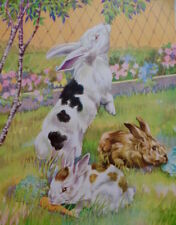 Vintage rabbit bunnies for sale  Spokane