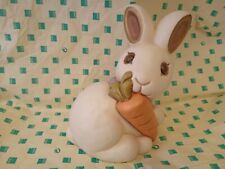 Coniglio con carota usato  Fermo