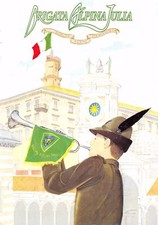 C5661 alpini brigata usato  Lugo