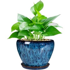 Ceramic modern glaze for sale  New York