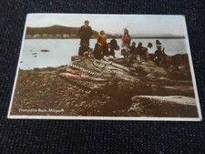 Crocodile rock millport for sale  ANSTRUTHER