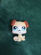 Petshop chien boxer d'occasion  Cusset