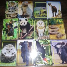 National geographic cards d'occasion  Paris XX