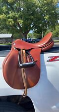Zaldi royal purpose for sale  Aplington