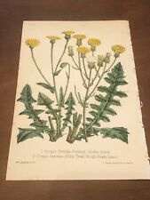 Hand painted lithograph d'occasion  Expédié en Belgium