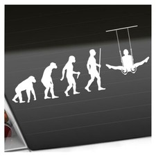 Turnen ringe evolution gebraucht kaufen  Leipzig