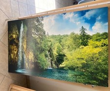 Leinwand poster natur gebraucht kaufen  Hamminkeln