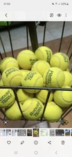 palline da tennis usato palline da tennis usato Serravalle Sesia