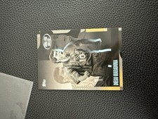 Diego maradona topps gebraucht kaufen  Ralingen