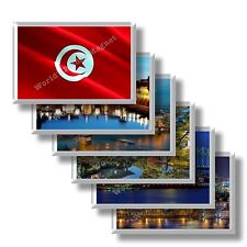 Tunisia frigo calamite usato  Motta Visconti