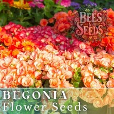 Warm glow mix for sale  Meridian