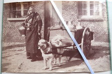 Laitiere charette chien d'occasion  France