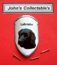 Black labrador walking for sale  CLACTON-ON-SEA