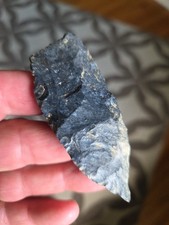 Authentic ohio paleo for sale  Belleville