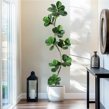 Artificial fiddle leaf for sale  Ashford