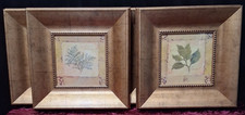 Value four nature for sale  Chicago