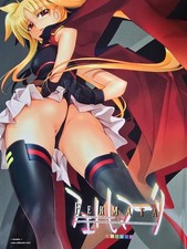 Riginal doujinshi fermata gebraucht kaufen  Wasserburg a.Inn