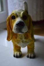 Großer hush puppy gebraucht kaufen  Alfdorf