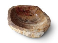 Fossil versteinertes holz gebraucht kaufen  Wiggensbach