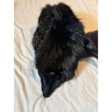 Vintage black fox for sale  LONDON