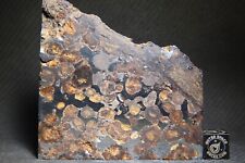 Meteorite sericho pallasite usato  Spedire a Italy