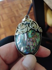 abalone shells for sale  KENDAL