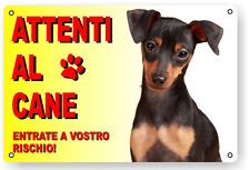 Attenti cane cartello usato  Malalbergo