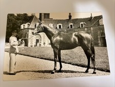 Cpsm orne haras d'occasion  Fronton