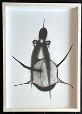 Giuliano guatta pastelli usato Giuliano guatta pastelli usato  Roma