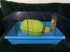 Small mouse hamster for sale  GUILDFORD