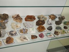 mineraliensammlung gebraucht kaufen mineraliensammlung gebraucht kaufen Dresden