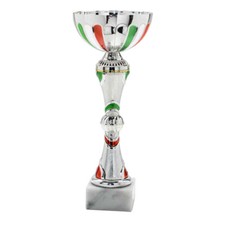 Coppa per premiazioni usato  Capua