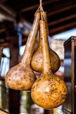 Dipper gourd siphon for sale  Massillon