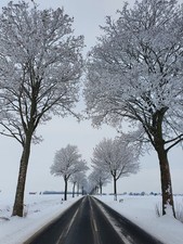 Playtex miederhose beige gebraucht kaufen Playtex miederhose beige gebraucht kaufen  Lahstedt